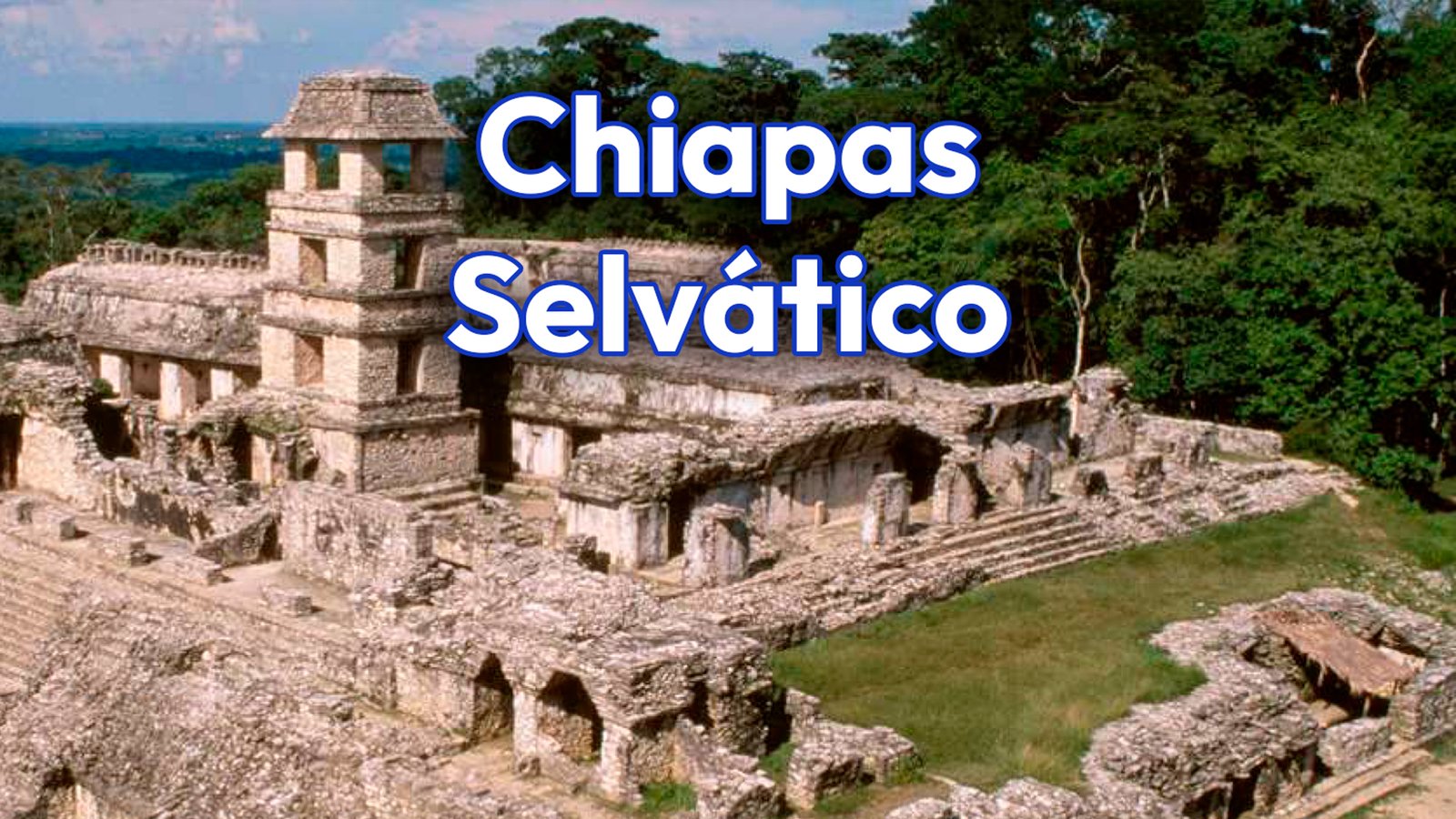 Chiapas Selvático